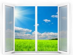 вікно в Ірпіні