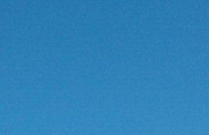 Аисты: милосердие начинается с детства