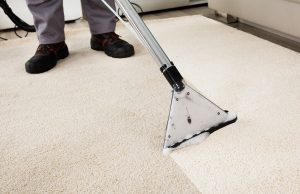 химчистка ковра на дому