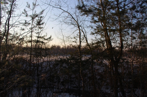 «Торфовище Білогорща» включили до переліку заповідних об’єктів Львівщини
