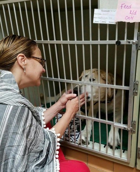 «Собачья жизнь»: хозяин пять лет морил голодом пса с некрасивой мордой