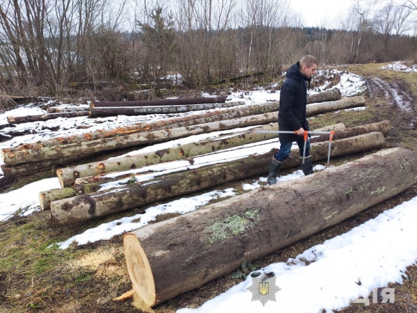 На Старосамбірщині поліцейські виявили незаконно зрубану деревину