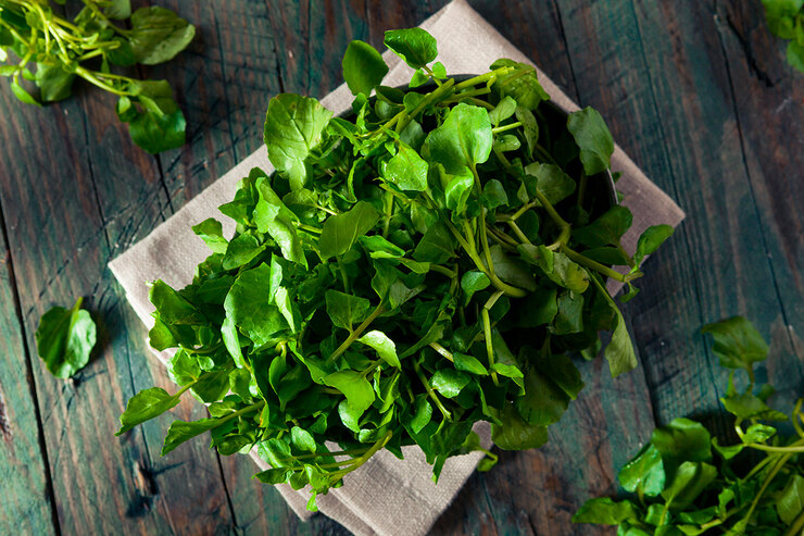 10 омолаживающих продуктов, которые нужны всем после 40 лет