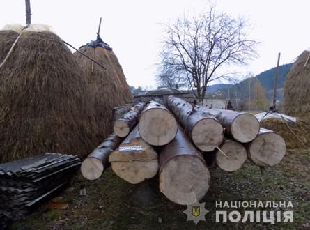 Слідчі скерували до суду обвинувальний акт щодо підозрюваного у незаконній порубці дерев на Львівщині