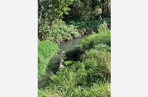 Красива набережна та стильний громадський простір: «Шувар» долучається до ревіталізації Зубри