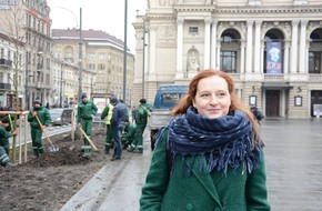 На площі перед Оперним театром висадили 8 платанів