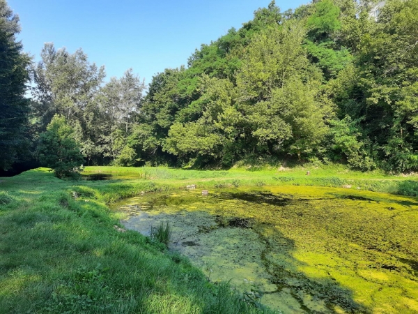 Площу Снопківського парку збільшили на 11 га – рішення Львівської облради