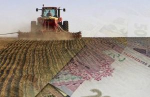 Пільгові кредити для аграріїв Львівської області стали ще більш доступними: деталі