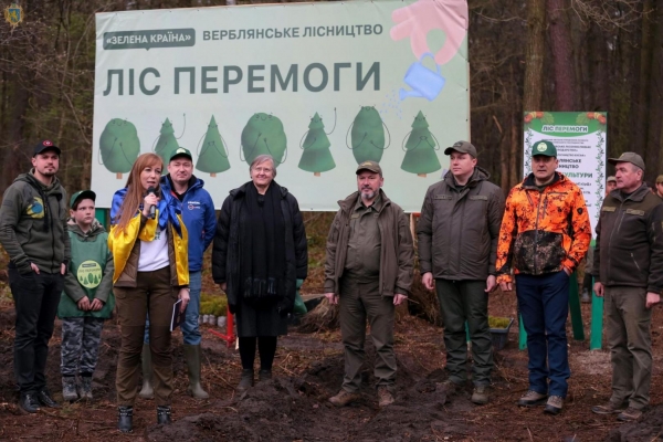 В межах масової акції «Ліс Перемоги» на Львівщині за добу висадили близько 50 тисяч дерев (фото)