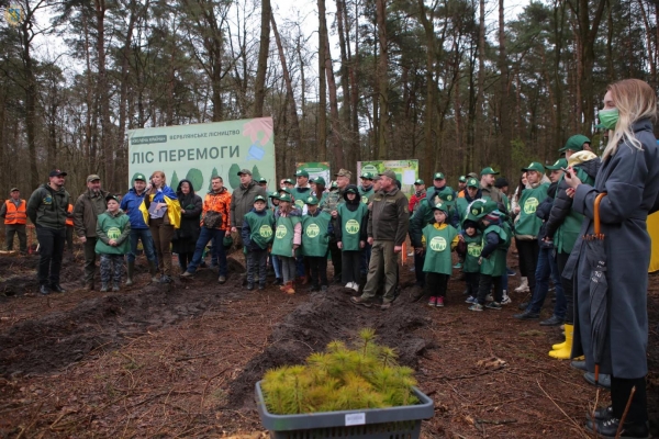 В межах масової акції «Ліс Перемоги» на Львівщині за добу висадили близько 50 тисяч дерев (фото)