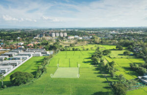 Лише за рік середня вартість гектара паю на Львівщині зросла на 20%