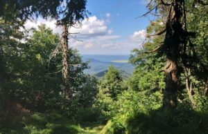 Національний природний парк «Сколівські Бескиди» запрошує на туристичний маршрут «На гору Лопата»