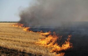 До уваги мешканців Львівської області: синоптики попереджають про надзвичайну пожежну небезпеку на Львівщині