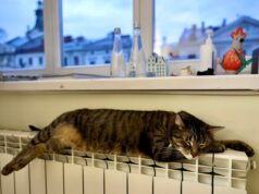 З понеділка у Львові розпочинається опалювальний сезон у житлових будинках