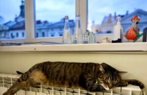 З понеділка у Львові розпочинається опалювальний сезон у житлових будинках