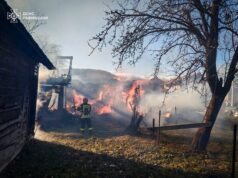 Рятувальники у Стрийському районі врятували будівлі та техніку від пожежі