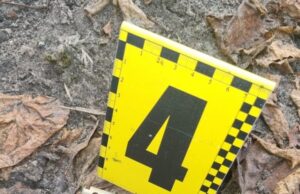 Поліція затримала підозрюваного у вибуху гранати в Бродах