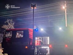 Рятувальники на Стрийщині врятували будинок та гараж від пожежі