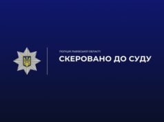 Львів’янина судитимуть за шахрайство та зберігання зброї