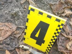 Затримано зловмисника, який підірвав гранату в Бродах