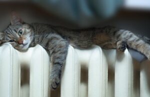 У Шептицькому відновили теплопостачання