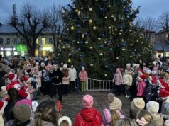 У Буську засвітила вогні Різдвяна ялинка