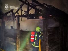 Вогнеборці врятували будівлі від пожежі у Стрийському районі