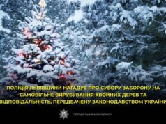 Заборона на вирубку ялинок: штрафи та відповідальність
