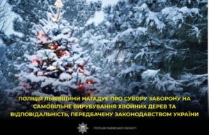 Заборона на вирубку ялинок: штрафи та відповідальність