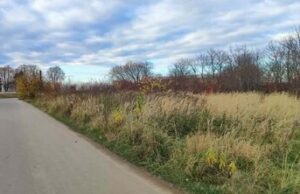 У Львові на аукціоні продали чотири земельні ділянки