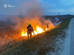На Львівщині зафіксовано 27 пожеж в екосистемах за добу