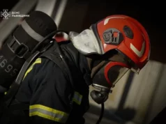 Сім пожеж сталось на Львівщині за добу