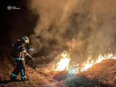 В області зафіксовано 38 пожеж сухої трави