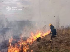 Львівщина знову страждає від пожеж: 7 випадків за добу