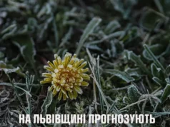 Заморозки на Львівщині 15 квітня: що очікувати