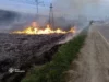 31 пожежа в екосистемах Львівщини за добу