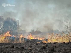(Українська) 10 пожеж сухої трави за добу на Львівщині