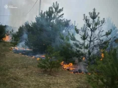 Протягом доби на Львівщині зафіксовано 38 пожеж сухої трави