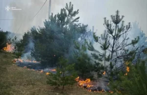 (Українська) Протягом доби на Львівщині зафіксовано 38 пожеж сухої трави