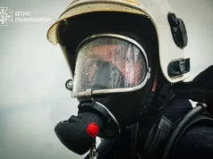 Пожежі Львівщини: 43 випадки за добу, 38 в екосистемах