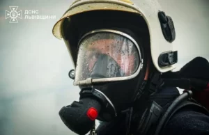 (Українська) Пожежі Львівщини: 43 випадки за добу, 38 в екосистемах