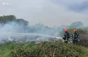 (Українська) На Львівщині за добу ліквідовано 12 пожеж в екосистемах