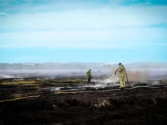 Торф’яна пожежа у Ситихові: рятувальники ліквідовують вогонь