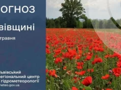 (Українська) Погода на 29 травня: заморозки в області та сухо у Львові