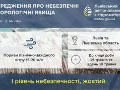 На Львівщині попереджають про сильний північно-західний вітер