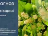 На 1 червня у Львові та області прогнозують дощі й грози