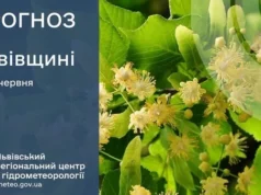 На 1 червня у Львові та області прогнозують дощі й грози