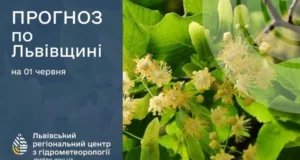 На 1 червня у Львові та області прогнозують дощі й грози