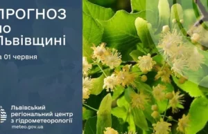 (Українська) На 1 червня у Львові та області прогнозують дощі й грози На 1 червня у Львові та області прогнозують дощі й грози
