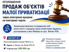У Жовкві повторно виставили на аукціон три нежитлові будівлі У Жовкві повторно виставили на аукціон три нежитлові будівлі